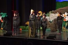 Die Wiese an der morschen Eiche