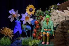 Die Wiese an der morschen Eiche