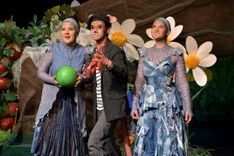 Die Wiese an der morschen Eiche