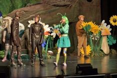 Die Wiese an der morschen Eiche