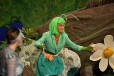 Die Wiese an der morschen Eiche