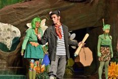 Die Wiese an der morschen Eiche