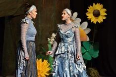 Die Wiese an der morschen Eiche