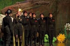 Die Wiese an der morschen Eiche