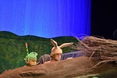 Die Wiese an der morschen Eiche